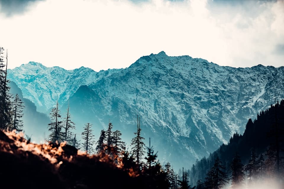 Vaadi A-frame cabin nestled in pine forest near Auli, Uttarakhand