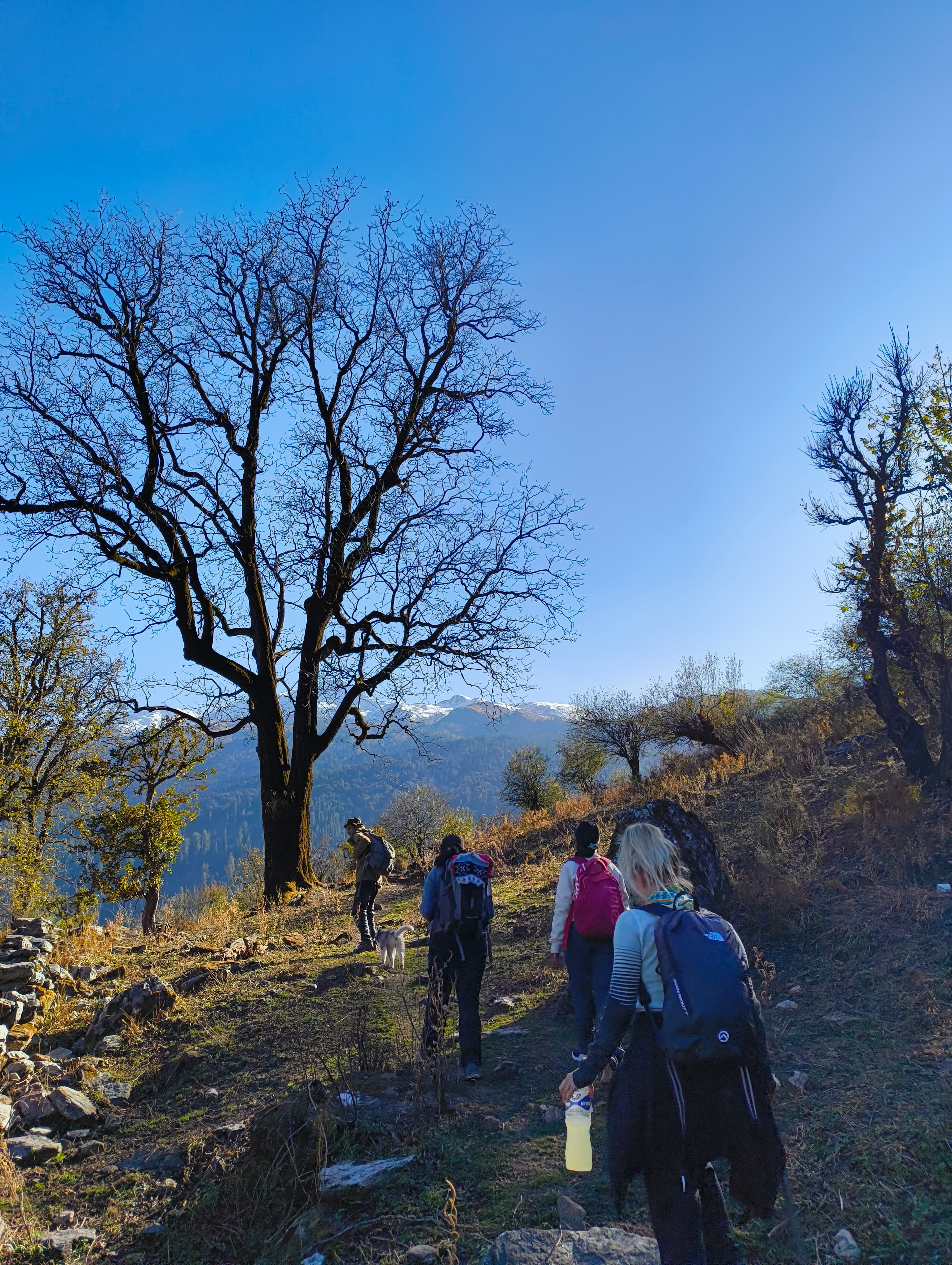 Group of people walking a mountain trail near Vaadi in the Himalayas, Uttarakhand