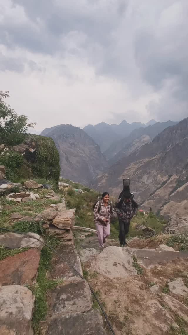Vaadi reel
